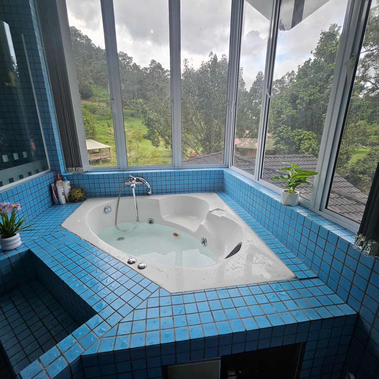 White jetted bathtub in blue tiles with large windows overlooking a lush green forest.