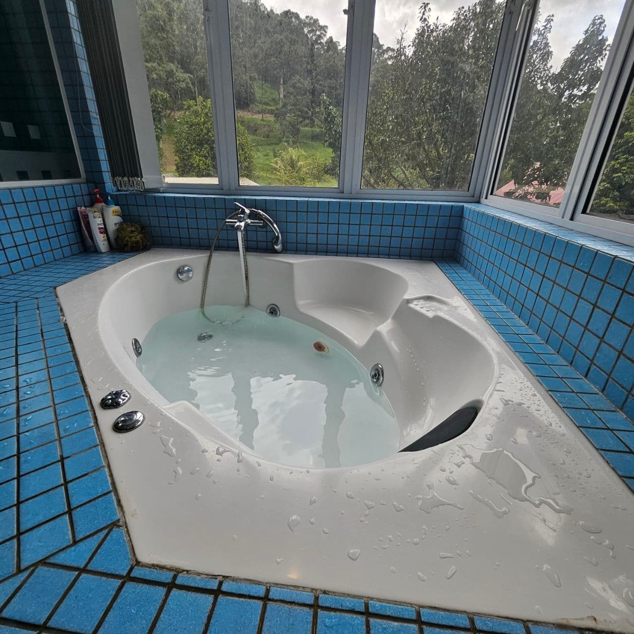 White jetted bathtub in blue tiles, overlooking a lush green forest through large windows.